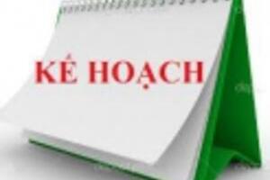 Kế hoạch thi học sinh giỏi cấp trường Năm học